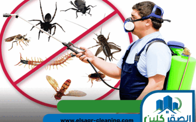 شركة مكافحة حشرات في ام القيوين |0543147776| إبادة فورية